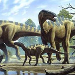 Iguanodon – dinosaurio carnívoro