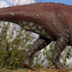 Lambeosaurus – dinosaurio herbivoro