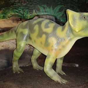 Leptoceratops – dinosaurio herbivoro