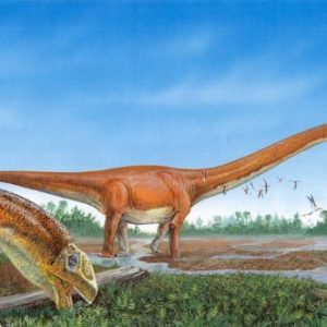 Mamenchisaurus – dinosaurio herbivoro