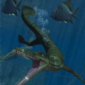 Mesosaurus – dinosaurio marino