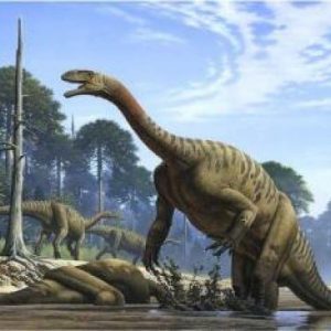 Plateosaurus – dinosaurio herbivoro