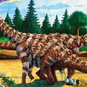 Saltasaurus – dinosaurio herbivoro