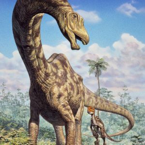 Seismosaurus – dinosaurio gigante