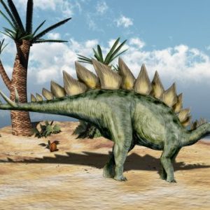 Stegosaurus – dinosaurio herbivoro