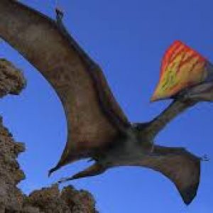 Tapejara – dinosaurios voladores