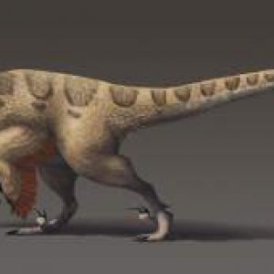 Utahraptor – dinosaurio carnívoro