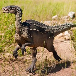 abrictosaurus – dinosaurio omnivoro