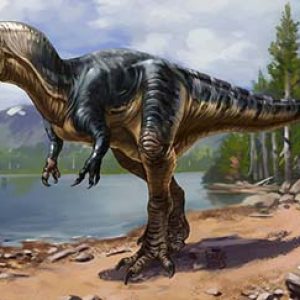 allosaurus – dinosaurio carnivoro
