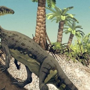 anchisaurus – dinosaurio herbivoro