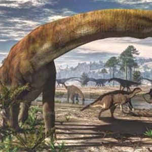 camarasaurus – dinosaurio herbivoro