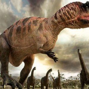 carcharodontosaurus – dinosaurio carnívoro