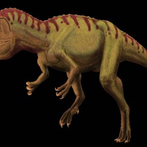 cryolophosaurus – dinosaurio carnívoro