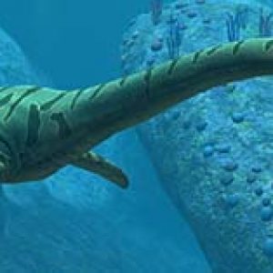 elasmosaurus – dinosaurio marino