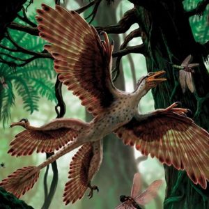 microraptor – dinosaurios voladores