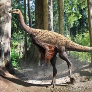 ornithomimus – dinosaurio omnivoro