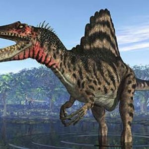 spinosaurus – dinosaurio carnívoro