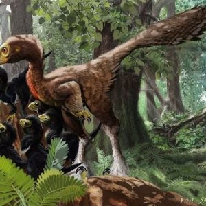 troodon – dinosaurio omnivoro