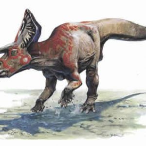 zuniceratops – dinosaurio herbivoro