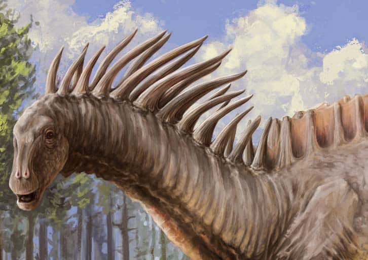 cresta del amargasaurus