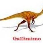 gallimimo