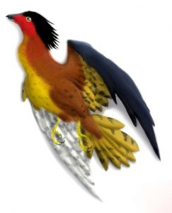 Boluochia - ave prehistorica