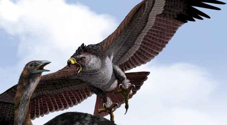Harpagornis - ave prehistorica
