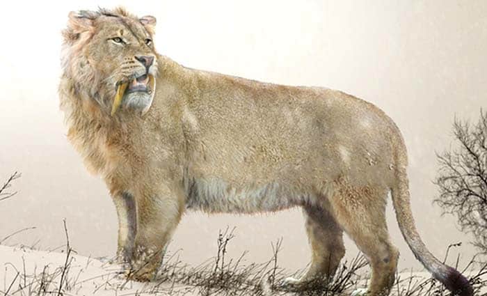 leon prehistórico