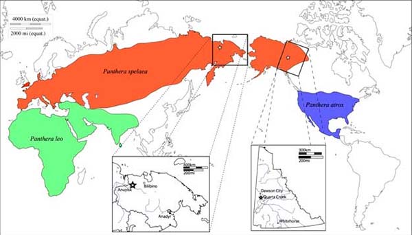 mapa distribucion del leon prehistorico