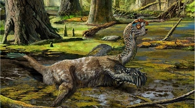 habitat del oviraptor