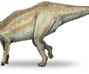 dinosaurio Shantungosaurus
