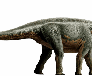 dinosaurio Mussaurus