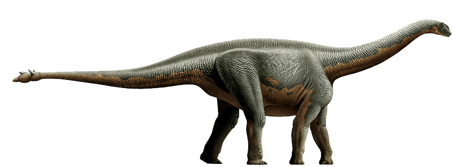dinosaurio Mussaurus