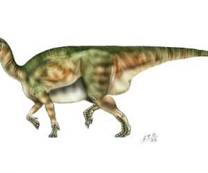dinosaurio Muttaburrasaurus