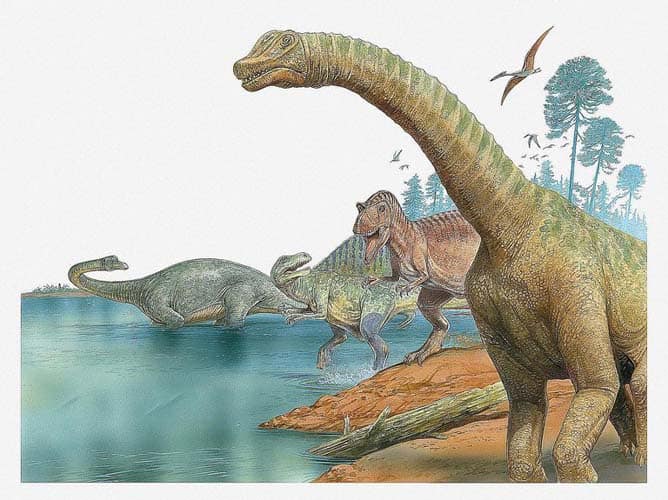 Dinosaurios – Página 5 – información de dinosaurios y animales prehistóricos