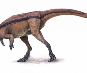 dinosaurio Aetonyx