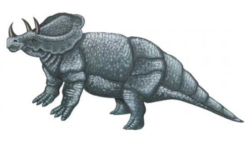 dinosaurio ceratops